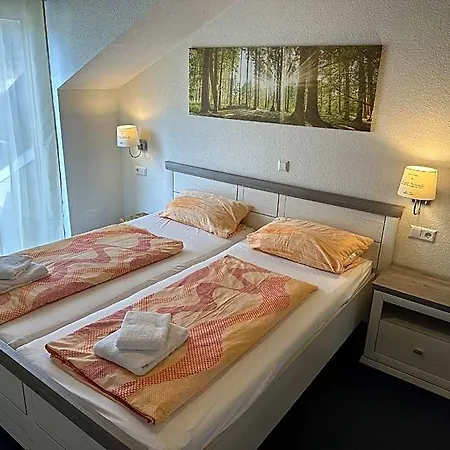 Hotel Gaestehaus Elzblick Ii *